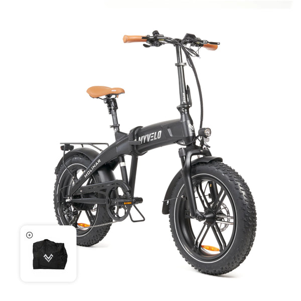 Bicicletta elettrica pieghevole Molinar