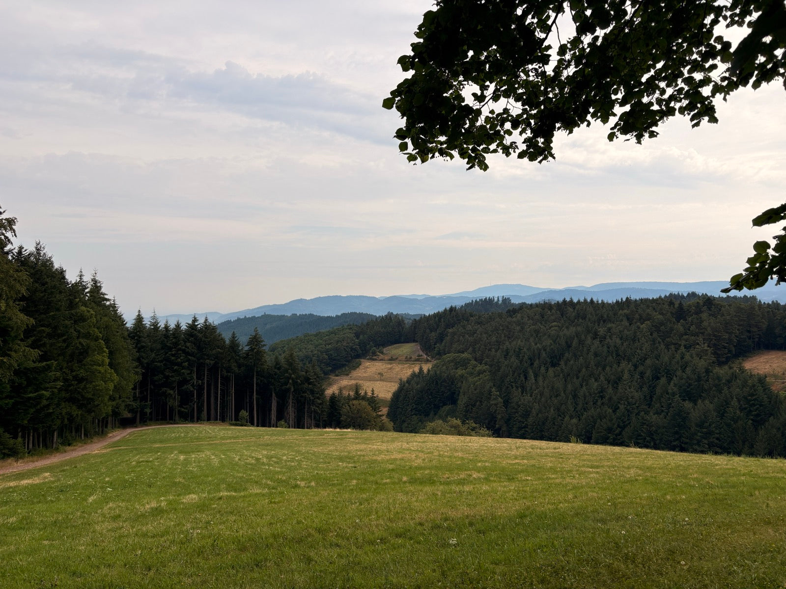 E-Bike Tour Gengenbach – Oberkirch Panorama: Über den Späneplatz durch den nördlichen Schwarzwald