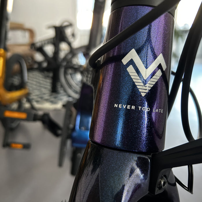 Elektro Klapprad Gewicht