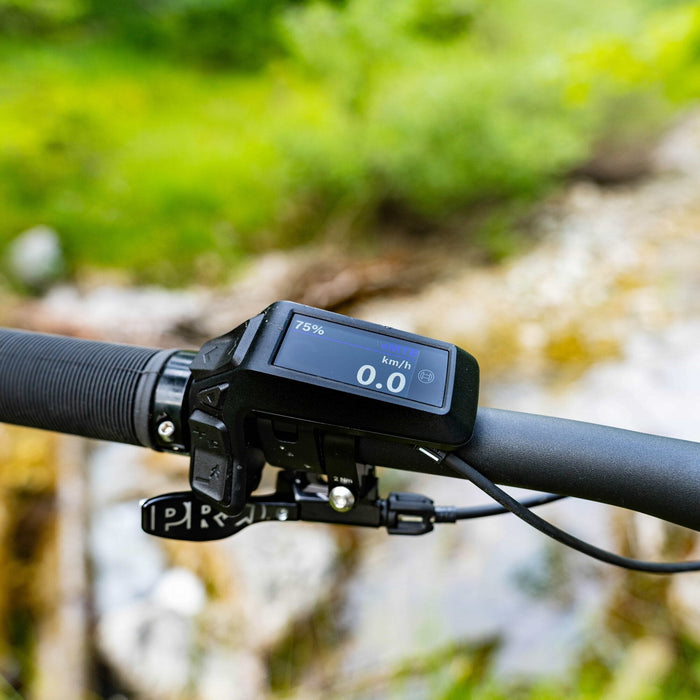 Software Defined E-Bikes