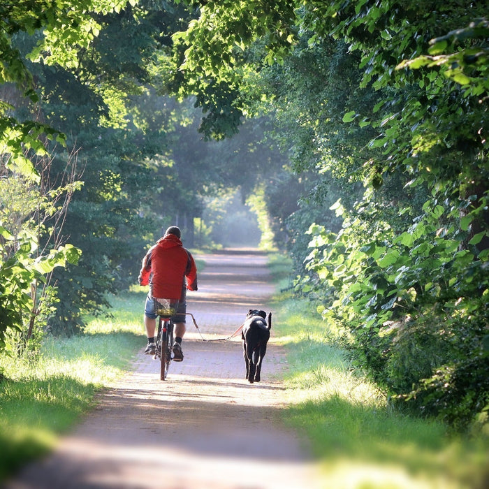 Rekuperation bei E-Bikes