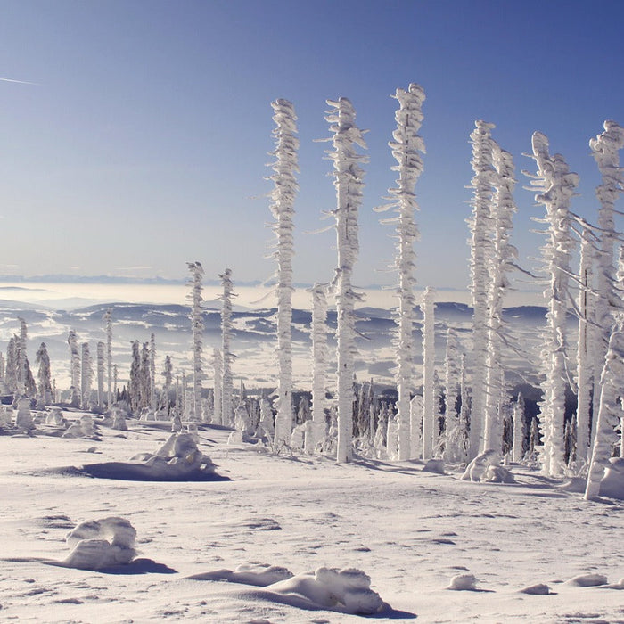 Wintercamping