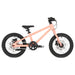 Asha Kinder-MTB - myvelo.de