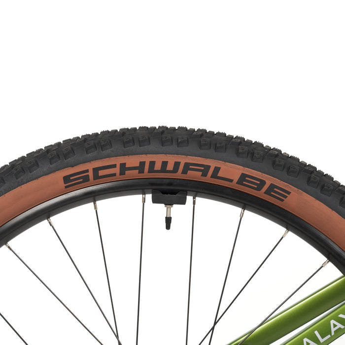 Himalaya E-MTB - myvelo.de