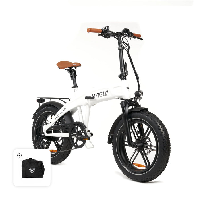 Bicicletta elettrica pieghevole Molinar