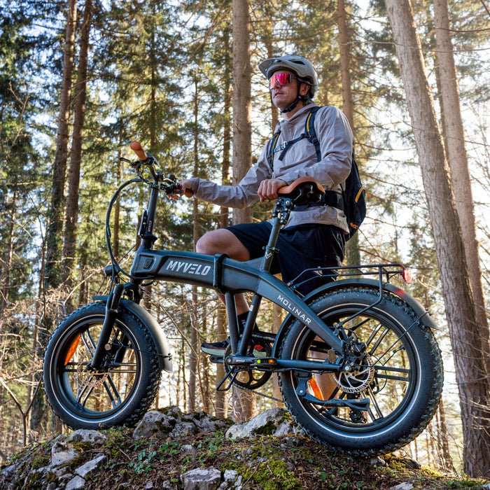 MYVELO Molinar Elektro-Klapprad Wald